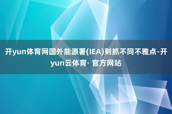 开yun体育网国外能源署(IEA)则抓不同不雅点-开yun云体育· 官方网站